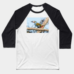 Plate-billed mountain toucan Baseball T-Shirt